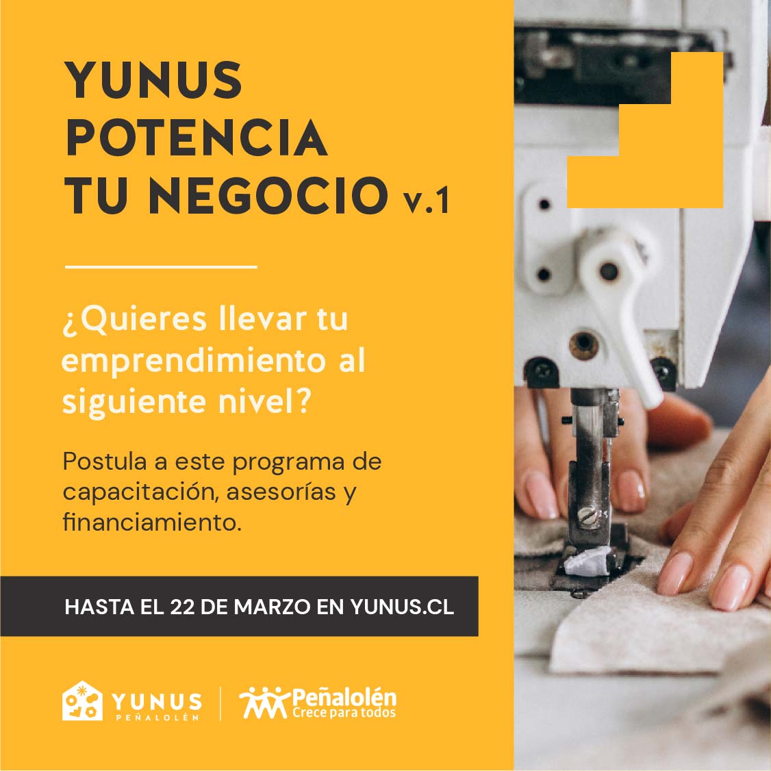 Yunus potencia tu negocio_01